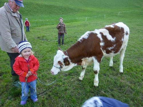 This photo about Matzenhof shared on HyHotel.com