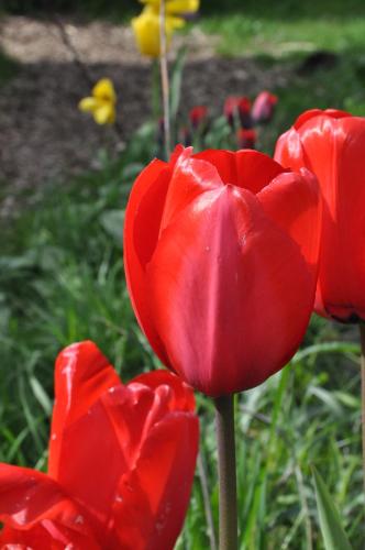 This photo about Bartels Bed & Breakfast shared on HyHotel.com