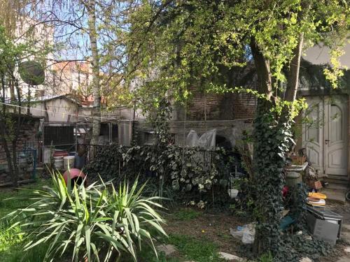 Garden, Better & Better Apartment in Korce Garden, Better & Better Apartment in Korce
