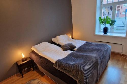 Leilighet sentralt i Trondheim