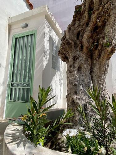 Anastasia, downtown village house in คาร์ดามาส Anastasia, downtown village house in คาร์ดามาส