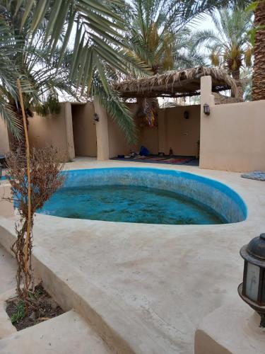 Forest Camp Siwa - كامب الغابة in Siwa Forest Camp Siwa - كامب الغابة in Siwa