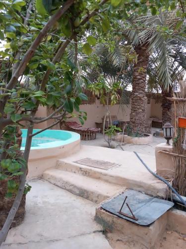 Forest Camp Siwa - كامب الغابة in Siwa Forest Camp Siwa - كامب الغابة in Siwa