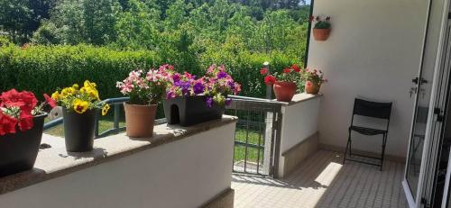 Villa Garden & Pool - Alojamentos in บริเตโล Villa Garden & Pool - Alojamentos in บริเตโล