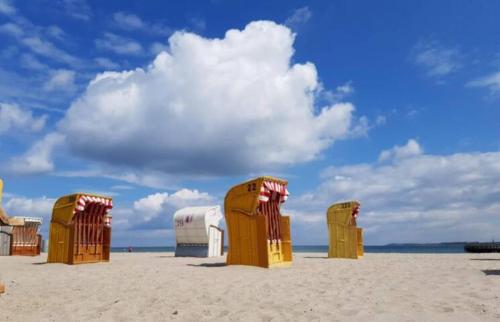 Beach, BED & BREAKFAST fur Individualisten in Gemeinde Scharbeutz, auch Allergiker in Scharbeutz Beach, BED & BREAKFAST fur Individualisten in Gemeinde Scharbeutz, auch Allergiker in Scharbeutz