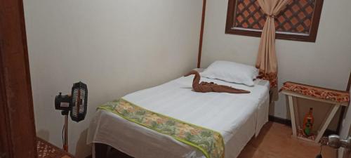 Hospedaje Meryscar in Tortuguero Hospedaje Meryscar in Tortuguero