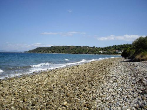 POSEIDON in Arkitsa POSEIDON in Arkitsa