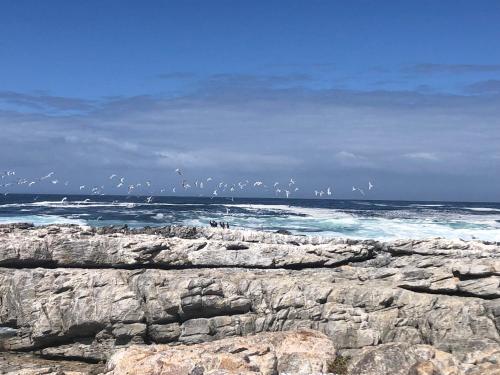 43 WHALE ROCK ESTATE in Hermanus 43 WHALE ROCK ESTATE in Hermanus