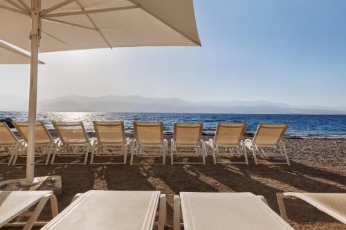playa, Herbert Samuel The Reef Eilat in Eilat Beach playa, Herbert Samuel The Reef Eilat in Eilat Beach