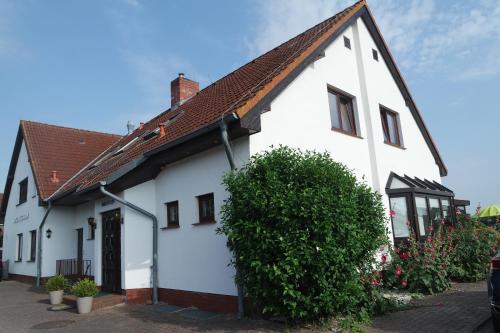 Aparthotel Schafshorn