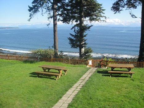 濱水之畔汽車旅館 (Edgewater Motel) in 坎貝爾里弗(BC) 濱水之畔汽車旅館 (Edgewater Motel) in 坎貝爾里弗(BC)
