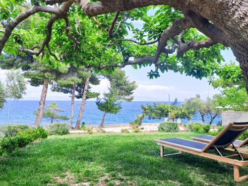 정원, Nama Beach House in 아르카디코 초리오 정원, Nama Beach House in 아르카디코 초리오