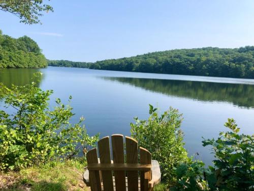 Tentrr State Park Site - Lake Taghkanic Secluded Lakeside Double Site D in Hancock (MA) Tentrr State Park Site - Lake Taghkanic Secluded Lakeside Double Site D in Hancock (MA)