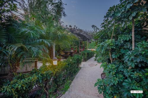 גינה, צימר ארבלית - ליד טבריה ו כנרת בגליל ב ארבל צפון הארץ in טבריה גינה, צימר ארבלית - ליד טבריה ו כנרת בגליל ב ארבל צפון הארץ in טבריה