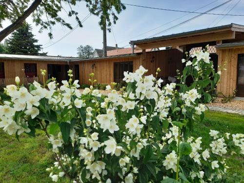 Garden, Les Cottages du Chateau de Werde in Matzenheim Garden, Les Cottages du Chateau de Werde in Matzenheim
