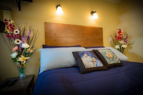 talkeetna villas and tours in Talkeetna (AK) talkeetna villas and tours in Talkeetna (AK)