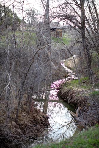 The Nook, Creekside Treasure in Crawford (CO) The Nook, Creekside Treasure in Crawford (CO)
