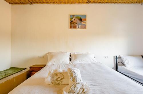 Elaaz Horse Farm in Azemmour Elaaz Horse Farm in Azemmour