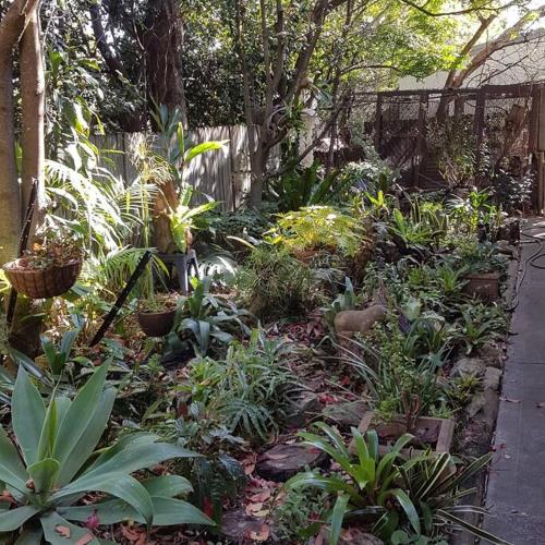 Dolphin Cottage Garden Studio in Huskisson Dolphin Cottage Garden Studio in Huskisson