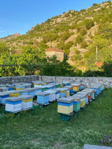 Garden, Honey Home in Ponari Garden, Honey Home in Ponari