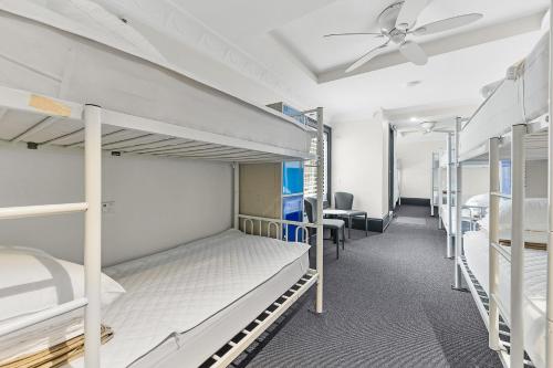 London Plane Backpackers in Potts Point London Plane Backpackers in Potts Point