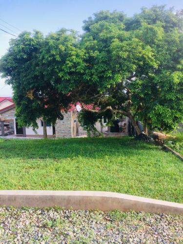Заобикаляща среда, Mavern House Apartments in Elmina Заобикаляща среда, Mavern House Apartments in Elmina