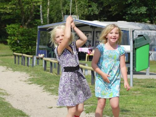Surrounding environment, Neat chalet with dishwasher, surrounded by forest in Steenwijkerland Surrounding environment, Neat chalet with dishwasher, surrounded by forest in Steenwijkerland