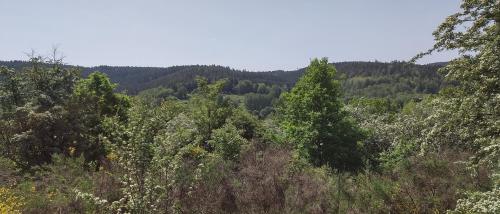 A környék, Seßles Waldhäusschen Dietzhausen (Seßles Waldhausschen Dietzhausen) in Albrechts A környék, Seßles Waldhäusschen Dietzhausen (Seßles Waldhausschen Dietzhausen) in Albrechts
