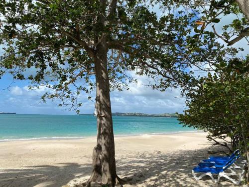 Beach Villa in Five Islands Beach Villa in Five Islands