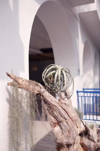 Unterkunft von außen, Little Mykonos in Bandung Unterkunft von außen, Little Mykonos in Bandung