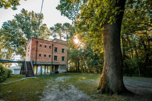 Labashaz in Hercegszántó Labashaz in Hercegszántó