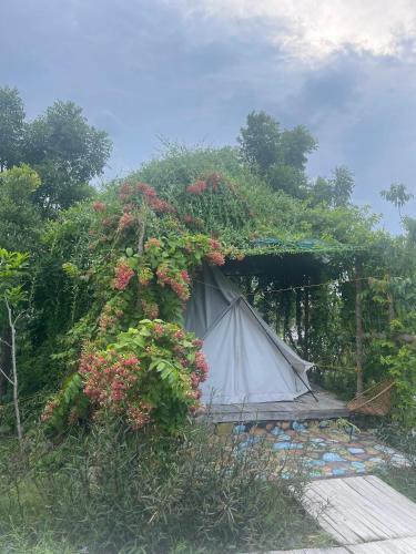 F-Glamping in Ap Cho Dinh F-Glamping in Ap Cho Dinh