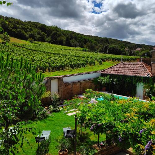 La petite madeleine - Chambre d'hôtes & spa (La petite madeleine - Chambre d'hotes & spa) in Saint Gengoux De Scisse La petite madeleine - Chambre d'hôtes & spa (La petite madeleine - Chambre d'hotes & spa) in Saint Gengoux De Scisse