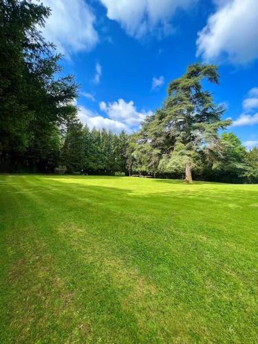 The Beeches - Entire Mansion in Brislington East The Beeches - Entire Mansion in Brislington East