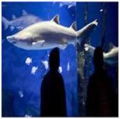 在meiguo.com看到的Guest House at Norwalk Inn的介绍图片