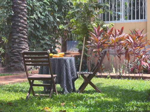 Garden, Casa Cacheu Homestay Guest House in Bissau Garden, Casa Cacheu Homestay Guest House in Bissau