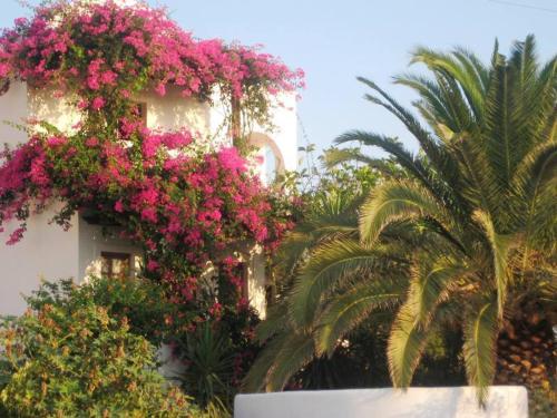 This photo about Pasoi Apartments shared on HyHotel.com