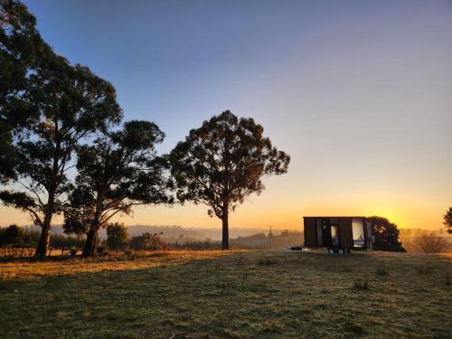 المنطقة المحيطة, Pine Edge Heights by Tiny Away in Ellendale المنطقة المحيطة, Pine Edge Heights by Tiny Away in Ellendale