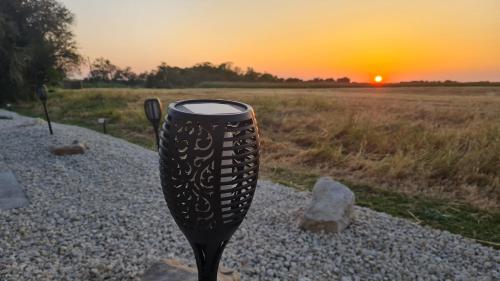Auberge des etiers chambres d'hôtes (Auberge des etiers chambres d'hotes) in Beauvoir Sur Mer Auberge des etiers chambres d'hôtes (Auberge des etiers chambres d'hotes) in Beauvoir Sur Mer