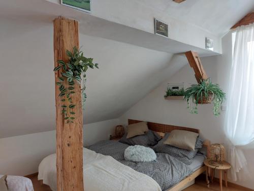 Apartmán Mourek (Apartman Mourek) in ฮาร์ทมานิซ Apartmán Mourek (Apartman Mourek) in ฮาร์ทมานิซ
