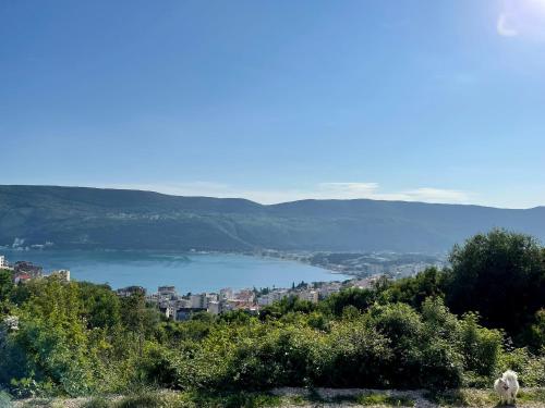 Apartment Jovana in Topla Apartment Jovana in Topla