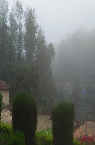 Surrounding environment, Coorg River Valley Homestay by StayApart in Biligeri Surrounding environment, Coorg River Valley Homestay by StayApart in Biligeri
