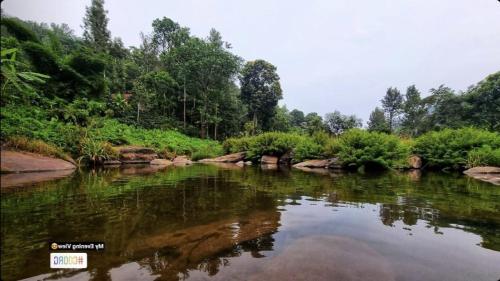 View, Coorg River Valley Homestay by StayApart in Biligeri View, Coorg River Valley Homestay by StayApart in Biligeri