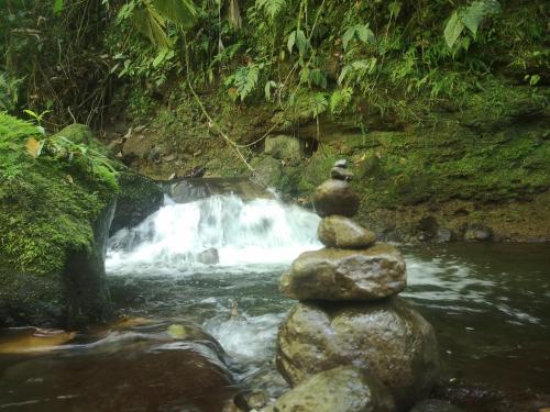 Habana River Lodge and Sanctuary in La Fortuna Habana River Lodge and Sanctuary in La Fortuna