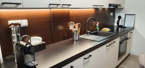 Academic Apartment Brno (AAB) 2+1 (62 m²) in โปนาวา Academic Apartment Brno (AAB) 2+1 (62 m²) in โปนาวา