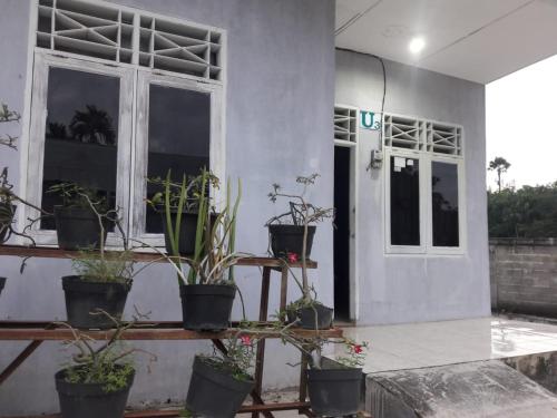 Home Sweet Dewi in Langsa Home Sweet Dewi in Langsa