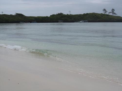 Pantai, Luciano & Grace Apartments in Watamu Pantai, Luciano & Grace Apartments in Watamu