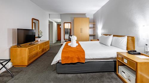 African Sky Harrismith Inn in 해리스미스 African Sky Harrismith Inn in 해리스미스