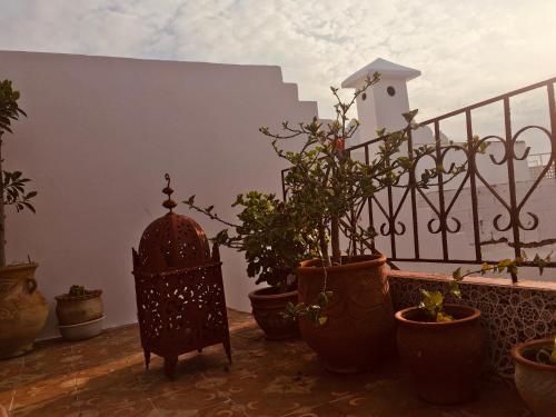 발코니/테라스, HATHOR ,Casa marroquí con dos terrazas en la Medina antigua , ideal parejas!! WIFI!! (HATHOR ,Casa marroqui con dos terrazas en la Medina antigua , ideal parejas!! WIFI!!) in 아실라 발코니/테라스, HATHOR ,Casa marroquí con dos terrazas en la Medina antigua , ideal parejas!! WIFI!! (HATHOR ,Casa marroqui con dos terrazas en la Medina antigua , ideal parejas!! WIFI!!) in 아실라