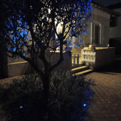 casa nella pineta in Monte Compatri casa nella pineta in Monte Compatri